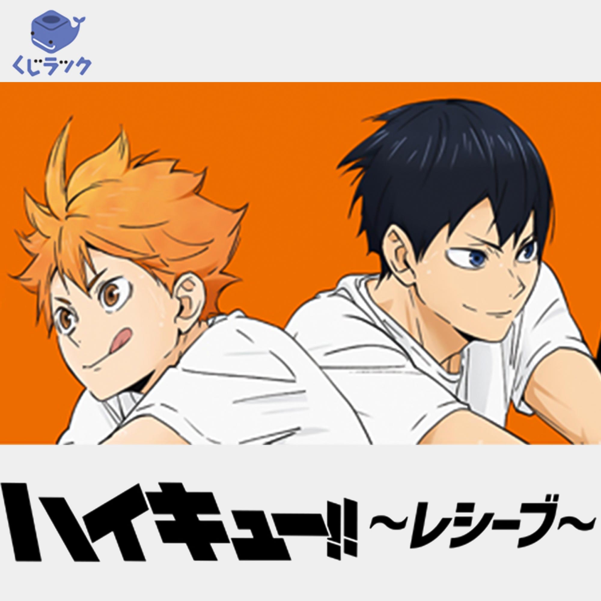 日版 排球少年 鯨魚賞