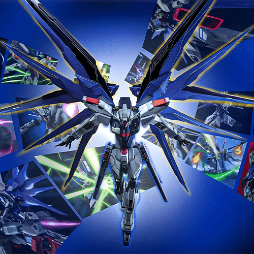 Freedom 自由的戰士