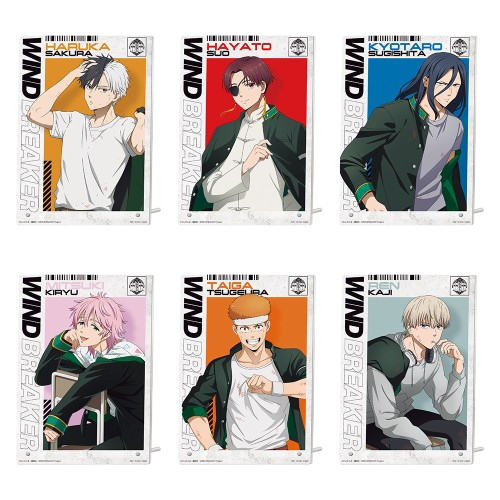 壓克力板 全6種(隨機出貨)