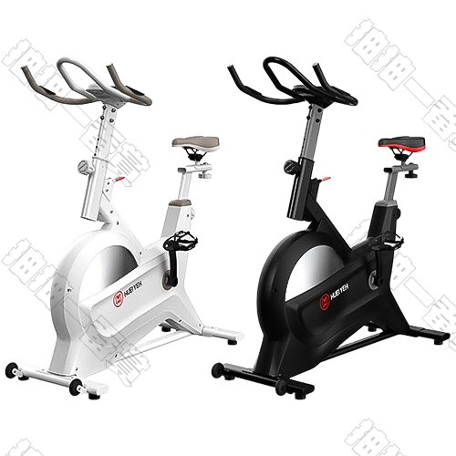 輝葉｜HY-20151 健身車/飛輪(隨機出貨)