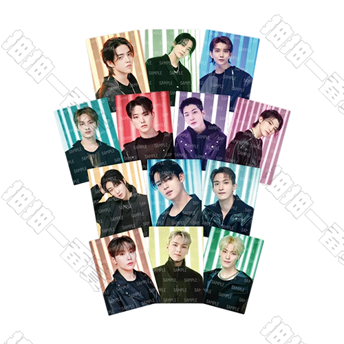 SEVENTEEN｜FOLLOW TO JAPAN  照片卡(隨機出貨)