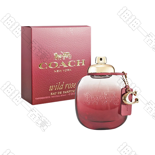 COACH｜曠野玫瑰女性淡香精