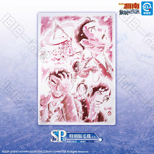 陸版 特別版毛毯