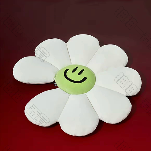 LINE FRIENDS｜ZOAful Winter系列 A&NE 抱枕