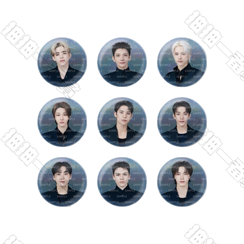 SEVENTEEN|NEW IN JAPAN 吧唧(隨機出貨)