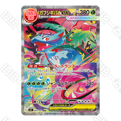 日版 超級妙蛙花ex SAR PSA10 評級卡