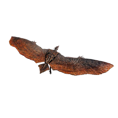 HIYA｜極致超值系列 拉頓